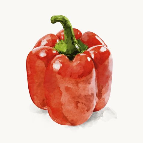 Watercolor tomato clipart, vegetable illustration | Premium PSD Illustration - rawpixel Pepper Watercolor, Tomato Clipart, Watercolor Tomatoes, Tomato Water, Vegetable Drawing, Watercolor Food Illustration, Veggie Art, Fruit Watercolor, Vegetable Painting