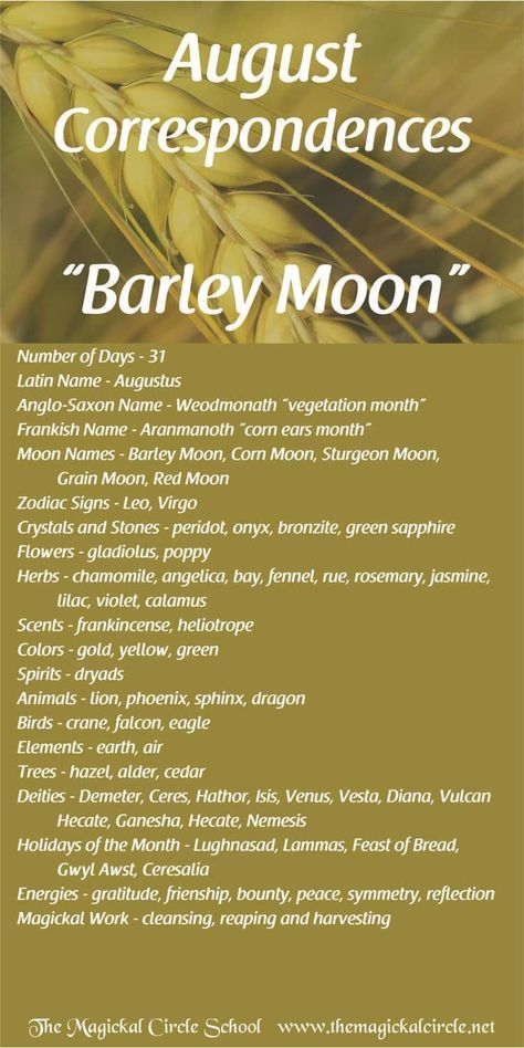 August Correspondences, Month Correspondence, Monthly Correspondences, Witchy Calendar, Witchcraft Inspiration, Goddess Circle, Corn Moon, Sturgeon Moon, Moon Zodiac