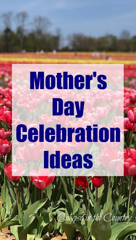 Pamper your mom this Mother's Day with these creative ideas that don't involve going to a restaurant! From easy ways to celebrate Mother's Day at home to great Mother's Day gifts and recipes! #mothersday #mothersdayideas #mothersdaygifts #mothersdaygiftideas #mothersdayathome #mothersdaybrunch Mother Day Event Ideas, Mother’s Day Outing Ideas, Mothers Day Get Together Ideas, Mother Day Celebration Ideas, Mother's Day Celebration Idea In School, Mothers Day Themes For Church, Mother's Day Events Ideas, Mother’s Day Idea For Church, Mother's Day Ideas For Church