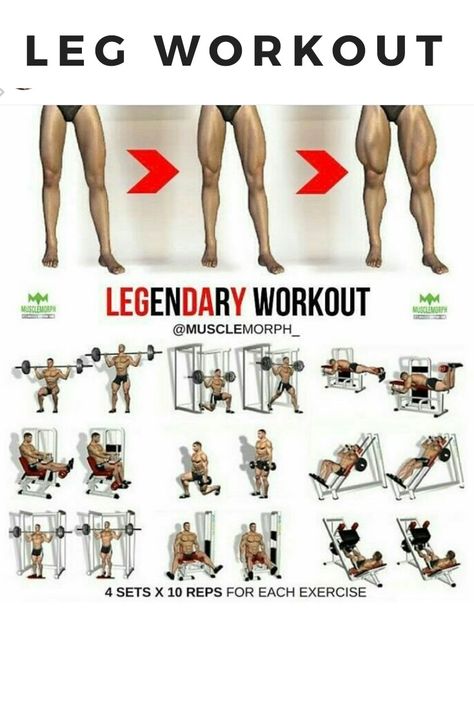 Leg Lifts Workout, Hip Flexor Exercises, Leg Workouts Gym, Leg Exercise, Best Leg Workout, Plant Styling, Liver Diet, Gym Tips, Strong Legs