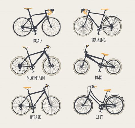 Gravel Bike Bicycles, Bike Types, Types Of Bicycles, Sepeda Fixie, Women Bicycle, Best Bmx, Mountain Bike Frames, Bicycle Brands, Bmx Racing