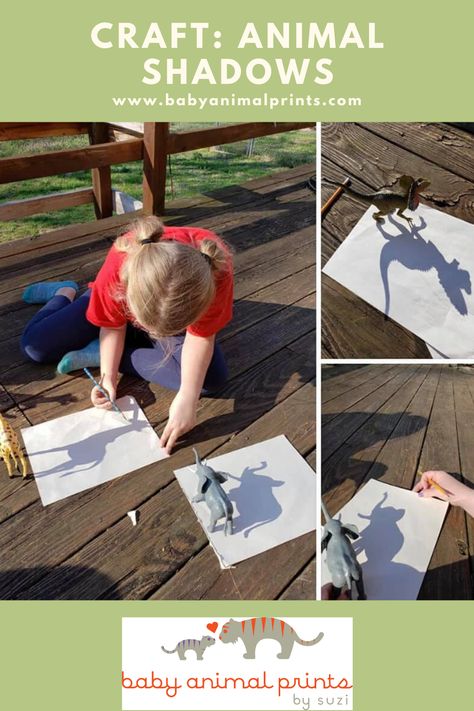 Here’s a fun idea for the kids! Let them draw pictures of their favorites animals by tracing their shadows! Be sure to check out the Baby Animal Prints Blog for more ideas for animal and nature loving kids! Weather Activities For Kids, Shadow Painting, Science Experiments For Preschoolers, Shadow Drawing, Art Education Lessons, Summer Preschool, Science Projects For Kids, Wildlife Photographer, Daycare Activities