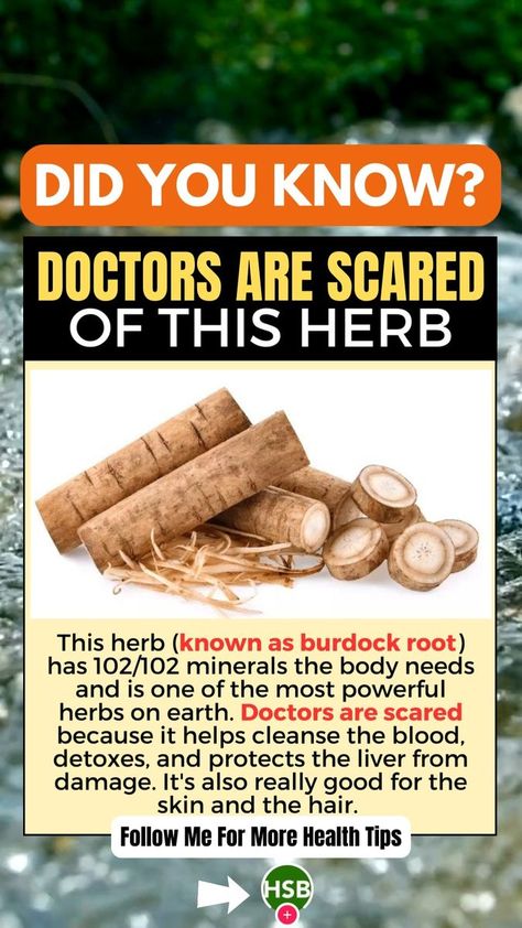 🌿 Unleash the Power of Burdock Root: Your Secret to Natural Wellness! 🌱✨ Welcome to our page dedicated to the incredible health benefits and uses of burdock root. Join us on a journey to discover the hidden treasures of this versatile plant and how it can revolutionize your approach to natural wellness. 🌟 #DidYouKnow #burdockroot #healthandwellness #healthcare | Health Spirit Body | Health Spirit Body · Original audio Burdock Root Benefits, Herb Medicine, Wild Recipes, Supplement Packaging, Herbal Remedies Recipes, Blood Pressure Food, Sick Remedies, Natural Beauty Recipes, Herbal Teas Recipes