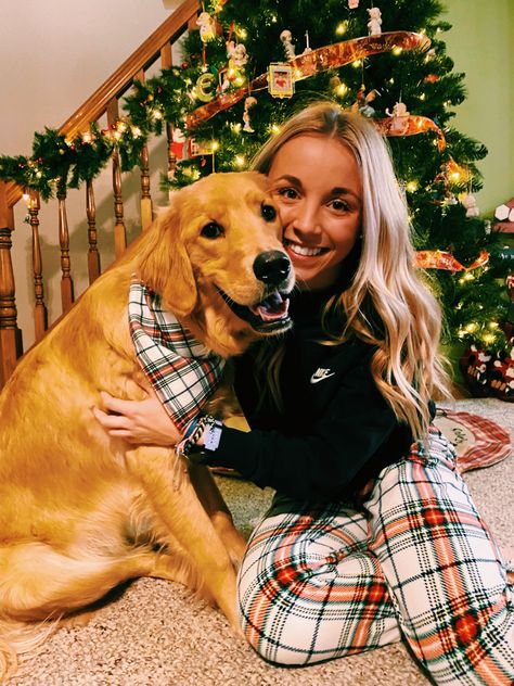 Golden Retriever Puppy Christmas, Puppy Golden Retriever, Puppy Christmas, Christmas Pics, Dog Poses, Christmas Puppy, Aesthetic Christmas, Golden Retriever Puppy, Retriever Puppy