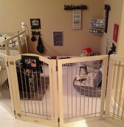 Playpen for puppies when company's over. Dog Space, Puppy Pens, Dog Bedroom, Puppy Room, Dog Spaces, Dog Room, Dog Pen, Dog Playpen, Dog Area