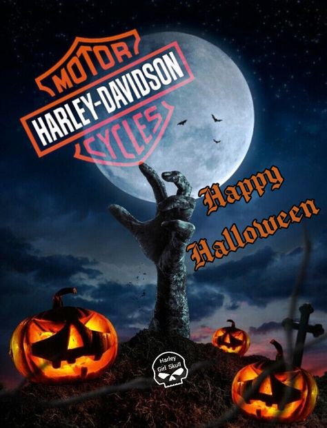 Harley Davidson Halloween, Biker Halloween, Harley Davidson Images, Harley Davidson Wallpaper, Girl Skull, Backgrounds Phone, Motor Harley Davidson Cycles, Backgrounds Phone Wallpapers, Phone Wallpapers