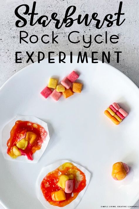 Starburst Rock Cycle, Rock Cycle For Kids, Rock Cycle Project, Rock Cycle Activity, Rock Experiments, Earth Science Experiments, Fossils Activities, Rock Food, Earth Science Projects