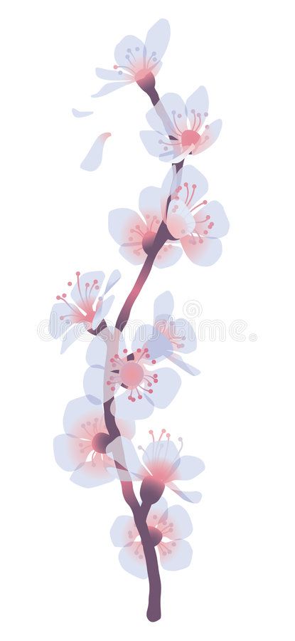 Apricot Illustration, Chinese Packaging Design, Mesh Illustration, Chinese Packaging, Apricot Flowers, Flowers Branch, Branch Drawing, Apricot Blossom, Branch Art