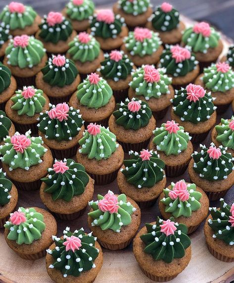 Morgy Cakes, LLC | Some cute little cactus minis! 🌵 • • • #homemade #fromscratchbaking #homebaker #selftaughtbaker #buttercream #cupcakes #cupcakedecorating… | Instagram Cute Bday Cupcakes, Cool Cupcake Decorating Ideas, Western Party Cupcakes, Diy Cactus Cupcakes, Desert Theme Cupcakes, Taco Themed Cupcakes, Cute Mini Cupcakes, Cactus Food Ideas, Mexican Fiesta Cupcakes