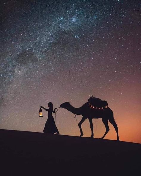 Arabian Desert Aesthetic, Arabian Nights Aesthetic, Wedding Illustration Card, Desert Nomad, Amazing Sunrise, Arabian Princess, Desert Sahara, Desert Aesthetic, Timur Tengah