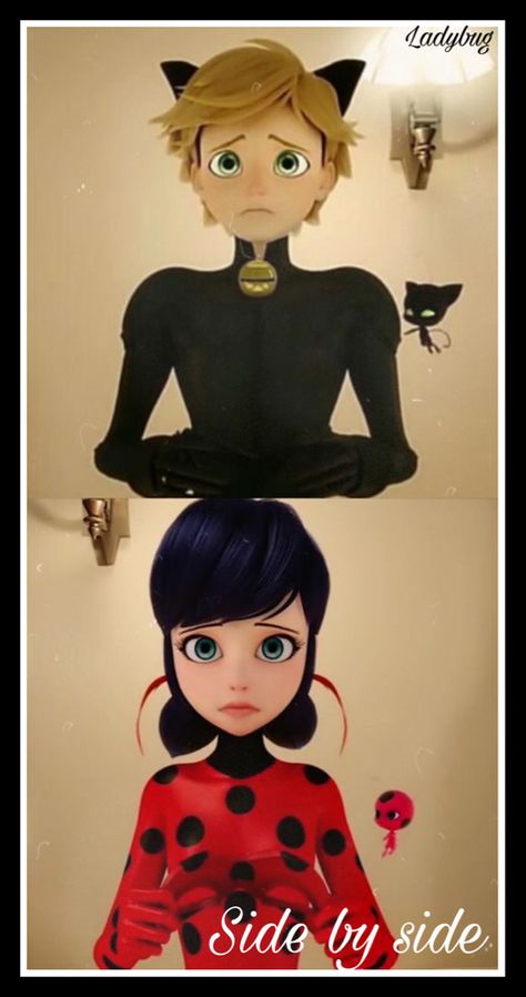 Please do not steal this, thanks! ❤️ Ladybug Und Cat Noir, Marinette Et Adrien, Ladybug Art, Ladybug And Cat Noir, Ladybug Wallpaper, Miraculous Ladybug Oc, Miraculous Wallpaper, Miraculous Ladybug Memes, Miraculous Ladybug Wallpaper