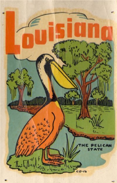 Louisiana Pelican, Vintage Louisiana, Louisiana Bayou, Louisiana Travel, Louisiana Homes, Louisiana Art, Workforce Development, South Louisiana, Center Of Excellence