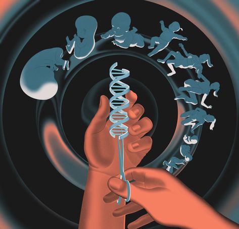 The Transformative, Alarming Power of Gene Editing | The New Yorker Biotechnology Art, Gene Editing, Dna Art, Genetic Counseling, Scientific Poster, Molecular Genetics, Human Embryo, Nurse Inspiration, Genetic Diseases