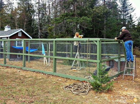 Build A Chicken Run, Building A Chicken Run, Chicken Barn, Portable Chicken Coop, Chicken Pen, Chicken Coop Run, Coop Design, Best Chicken Coop, Chicken Run