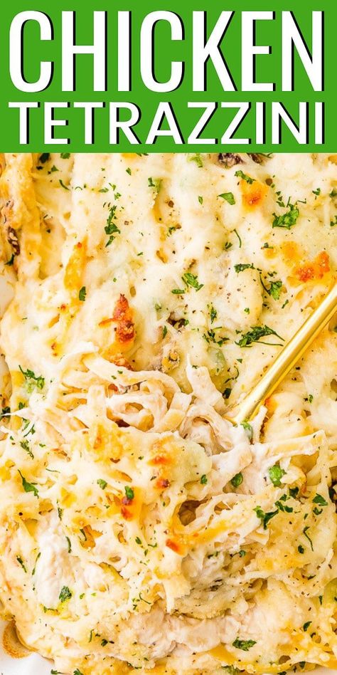 Fettuccine Chicken, Chicken Tetrazzini Casserole, Chicken Casserole Recipes Healthy, Chicken Tetrazzini Recipes, Easy Chicken Casserole Recipes, Creamy Cheese Sauce, Chicken Mushrooms, Instant Family, Chicken Tetrazzini