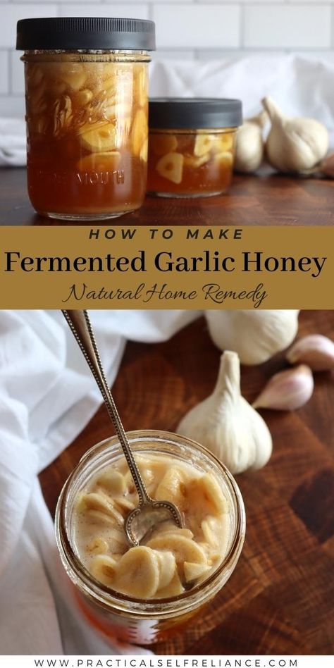 Garlic And Honey Benefits, Fermented Garlic Honey, Honey Remedies, Fermented Garlic, Resep Vegan, Fermented Honey, Garlic Honey, Garlic Benefits, Fermentation Recipes