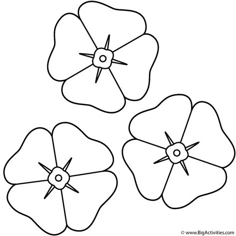 coloring page Veterans Day Poppy, Poppy Craft For Kids, Anzac Poppy, Poppy Template, Veterans Day Coloring Page, Remembrance Day Activities, Poppy Coloring Page, Remembrance Day Art, Poppy Craft