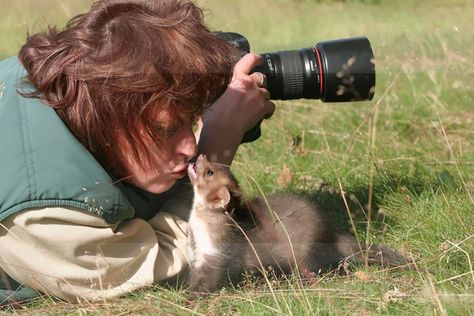 20 Pictures Showing That Nature Photographers Have The Best Jobs Ever | DeMilked Curious Creatures, Silly Animals, Funny Animal Memes, Nature Photographs, Animal Photo, 귀여운 동물, Animal Memes, Wildlife Photography, Funny Photos