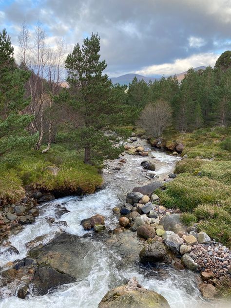 Scotland Forest, Turn Blue, Forest Park, British Isles, Scottish Highlands, Photo Reference, Glasgow, Scotland, Bucket List