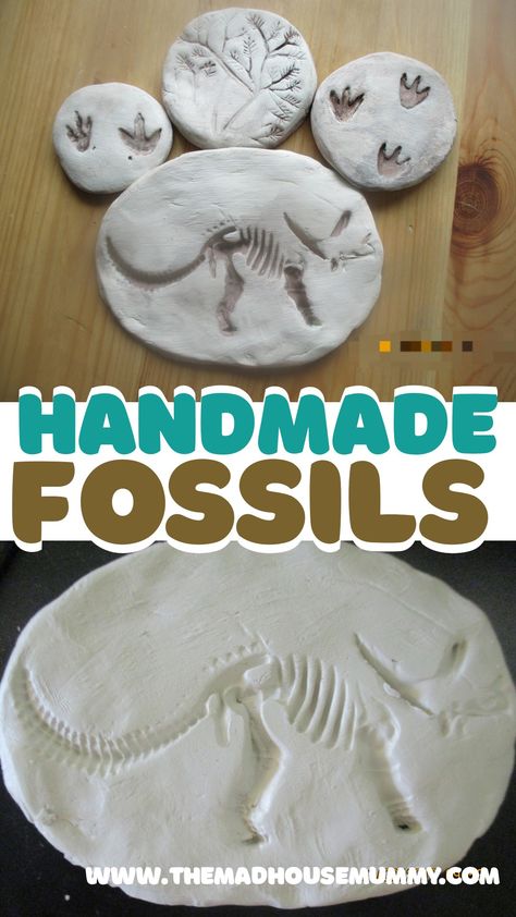 These sweet little handmade fossils are the prefect craft for children who love dinosaurs and archaeology! Diy fossil craft for kids. #craftsforkids #claycraftsforkids #fossilhunting #craftsforpreschoolers #dinosaurcrafts Easy Fossil Activity, Make Your Own Fossils, Fossil Imprint Activity, How To Make Dinosaur Fossils, Kids Fossil Dig, Fossil Projects For Middle School, Diy Fossil Dig How To Make, Archeology Activities For Kids, Fossil Art Project