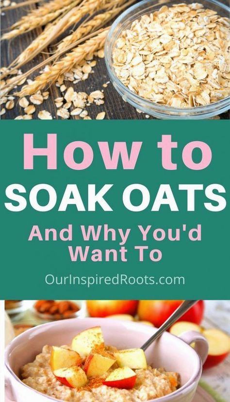 Dive into the world of overnight oats and unlock the secrets to a nutritious and time-saving breakfast. Learn why soaking oats is a game-changer for your morning routine and how to perfect your own delicious creations. Whether you're a busy professional or just looking to simplify your mornings, mastering overnight oats will transform the way you start your day. Get ready to explore a variety of flavors and textures that will keep you excited about breakfast all week long. Soaked Oats Recipe, Soaking Oats, Soaked Oatmeal, Oatmeal Benefits, Homestead Recipes, Oat Recipes, Raw Oats, I Lost 100 Pounds, Oatmeal Diet