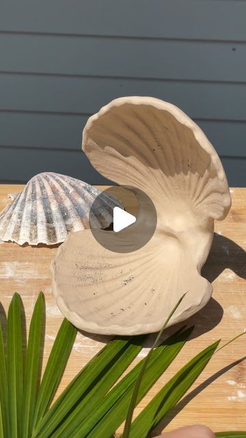 sev 🐚 on Instagram: "how I handbuild a scallop dish 🐚 using a real seashell as a mold

I start by rolling out a slab and gently pressing the shell into it to reveal the scalloped texture. After I tear off the excess clay, I stamp my logo on the back, carefully pull the shell out and smooth the edges. Once I’ve made a matching pair, I score and slip the joins, make a coil to fill in the gaps and add another coil to the bottom to support the weight so it can stand freely. 

#clay #handbuiltpottery #ceramics #seashell #handmade #potteryhowto" Ceramics Seashell, Seashell Clay, Clay Seashell, Clay Hand Building, Coral Clay, Scallop Dishes, Pottery Inspo, Hand Building, My Logo