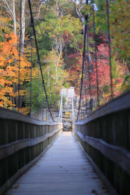 Fall colors - Turkey Run State Park Indiana Vacation, Turkey Run State Park, Turkey Run, Turkey Vacation, Most Beautiful Places To Visit, Indiana Travel, Suspension Bridge, Travel Outdoors, A Bridge