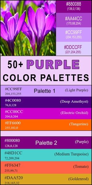 Colors That Go With Purple, Purple Palette Colour Schemes, What Colors Go With Purple, Purple And Orange Color Palette, Purple Color Names, Color Palette Combinations, Magical Colors, Purple Color Combinations, Purple Color Palette