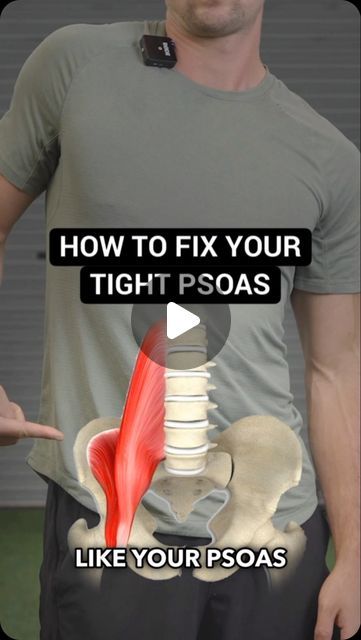 Conor Harris on Instagram: "You can stretch and roll out you Psoas all day long, but if you don’t understand why it’s tight in the first place…  You’ll probably not get the results you’re looking for. ——— #psoas #psoasstretch #psoasrelease #hipflexor #hipflexors #hipflexorstretch #hipflexorrelease #hipmobility #posture #posturecorrection" Hip Stretches For Pain, Psoas Stretches, Psoas Muscle Pain, Ms Exercises, Psoas Stretch, Psoas Release, Muscle Stretches, Piriformis Stretch, Hip Flexor Stretch