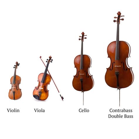 Violin Family, Music Teaching, Symphony Orchestra, Teaching Music, Halloween Activities, Music Fans, Music Lover, Creative Studio, Music Lovers