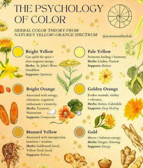 Color Therapy Healing, Herbal Education, Color Healing, Green Witchcraft, Witch Spirituality, Magic Herbs, Energy Healing Spirituality, Colors And Emotions, Herbal Magic