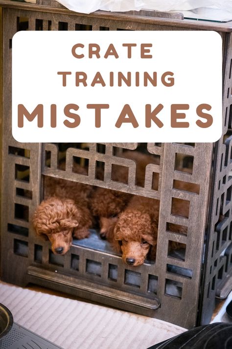 Discover the biggest mistakes of crate training a puppy or an adult dog, including common errors in crate training routines, positive reinforcement tips, and solutions to avoid crate training problems, ensuring a comfortable and effective crate training experience for your pet. Dog Crate Training Schedule, How To Crate Train An Older Dog, Puppy Set Up Ideas Dog Crates, How To Crate Train A Puppy, Puppy Crate Setup, Puppy Crates, Kennel Training A Puppy, Crate Training Schedule, Crate Training Puppy Schedule