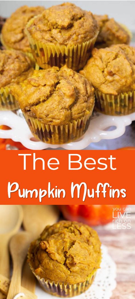 Homemade Pumpkin Muffins, Best Pumpkin Muffins, Vegan Pumpkin Muffins, Muffins Pumpkin, Pumpkin Muffins Easy, Pumpkin Muffin Recipes, Spice Muffins, Pumpkin Spice Muffins, Pumpkin Banana