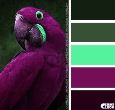 # Home Decor Color Harmonies, Palette Color, Color Inspiration, Parrot, Color Schemes, Color Palette, Magazine, Purple, Pattern