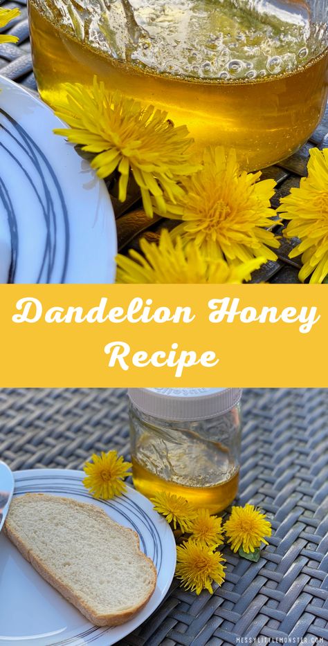 Dandelion Honey Recipe, Dandelion Syrup, Dandelion Uses, Dandelion Honey, Flower Recipes, Edible Flowers Recipes, Dandelion Flowers, Foraging Recipes, Dandelion Jelly