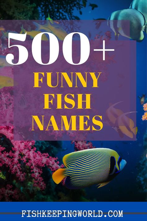 White Fish Names, Names For Goldfish, Funny Fish Names, Beta Fish Names, Name For Fish Pet, Pun Names, Rhyming Names, Pleco Fish, Fish Puns