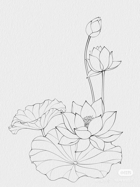 Lotus Colouring Page, Pichwai Embroidery Design, How To Draw A Lotus Flower, Lotus Leaf Drawing, Lotus Tattoo Drawing, Lotus Line Drawing, Japanese Flower Painting, Lotus Flower Line Art, Lotus Embroidery Design