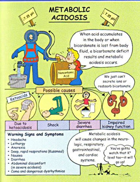 Medical Surgical Mnemonics | Nursessity Dosage Calculations Nursing, Endocrine System Nursing, Faculty Of Medicine, Metabolic Acidosis, Nursing Diagnosis, Abdominal Discomfort, Nursing Mnemonics, Nursing School Humor, Nursing School Survival