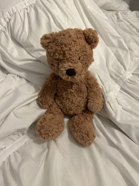 Medium Teddy Bear, Cute Bear Stuffed Animal, Jelly Cat Bear, Jellycats Aesthetic, Soft Cozy Aesthetic, Jellycat Bear, Bear Jellycat, Jellycat Plush, Jelly Cat