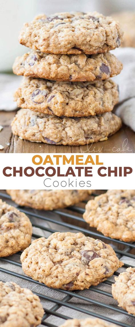 The only oatmeal cookie recipe you will ever need! Soft and chewy oatmeal chocolate chip cookies loaded with oats and chocolate chips! | livforcake.com Quick Oats Chocolate Chip Cookies, Nestle Toll House Oatmeal Chocolate Chip Cookies, Chocolate Cup Oatmeal Cookies, Oatmeal Cookies Brown Butter, Quick Oatmeal Chocolate Chip Cookies, Stevia Oatmeal Cookies, Oat Cookies Chocolate Chip, Oats Chocolate Cookies, Regular Oatmeal Recipes