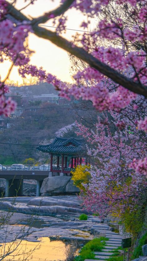 Spring Aesthetic Korea, Korean Landscape Aesthetic, South Korean Aesthetic Wallpaper, Korean Nature Aesthetic, South Korea Wallpaper Aesthetic, Korean Background Aesthetic, Cute Korean Wallpaper Aesthetic, Korean Culture Aesthetic, South Korea Wallpaper