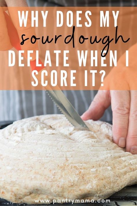 Sourdough Bread Problems, Under Proofed Sourdough, Sour Dough Bread Scoring, Over Fermented Sourdough, How To Score Sourdough Bread With Knife, How To Decorate Sourdough Bread, Overproofed Vs Underproofed Sourdough, Ways To Score Sourdough, Scoring Sourdough Bread Videos