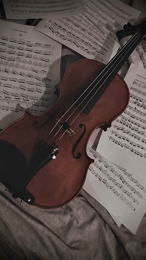 (My picture) Victorian Era Aesthetic, Violin Aesthetic, Violin Pics, Black Violin, Violin Photography, Violin Practice, Blood Wallpaper, Violin Design, Violin Art