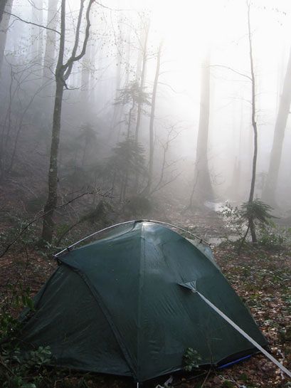 Camping in the Rain: 7 Tips for Keeping Your Tent Dry | Mossy Oak Camping In The Rain Aesthetic, Tent Astetic, Tent Camping In The Rain, Rainy Camping, Tent Aesthetic, Tent Camping Aesthetic, Rain Camping, Forest Tent, Micro Dosing