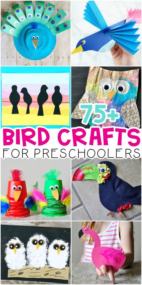 75+ Bird Crafts for Preschoolers -Ultimate list of bird crafts and activities for kids of all ages. Common birds, tropical birds, parrots, peacocks, owls, penguins and more. #iheartcraftythings Bird Crafts For Preschoolers, Bird Crafts Preschool, Pop Up Flower Cards, Birds Tropical, Birds Parrots, Crafts For Preschoolers, Common Birds, Puppet Crafts, Summer Crafts For Kids