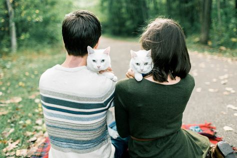 Family Photo shoot with Cats. Marquette, Michigan Engagement Adventure Photographer Cat Family Photo, Pet Family Photos, Funny Family Photos, Marquette Michigan, Animal Photoshoot, Kitty Photos, Pet Pictures, Cat Wedding, Cat Couple