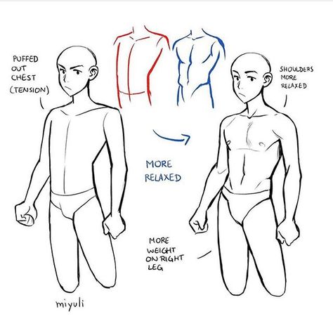 남성 근육, Drawing Body Poses, Anatomy Tutorial, Body Reference Drawing, Poses References, Anatomy Drawing, Figure Drawing Reference, Body Drawing, Anatomy Reference