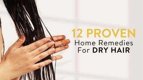 12 Proven Home Remedies For Dry Hair Extremely Dry Hair Remedies, Remedies For Dry Hair, Dry Hair Ends, Dry Hair Remedies, Dry Frizzy Hair, Dry Brittle Hair, Dry Damaged Hair, Hair Remedies, Brittle Hair