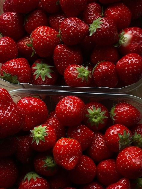 Aesthetic Strawberry Pictures, Strawberry Aestethic, Strawberry Fruit Aesthetic, Red Strawberry Aesthetic, Summer Fruit Aesthetic, Frutas Aesthetic, Kai Lakestone, Brutal Prince, Strawberries Aesthetic