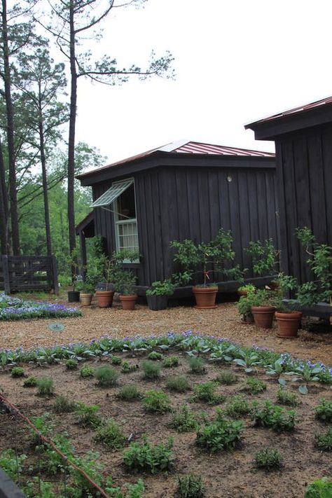 IMG_6537 Shed Kitchen, Home Retreat, P Allen Smith, Kitchen Gardens, Tool Shed, Mighty Oaks, Garden Designer, Master Gardener, Potting Shed